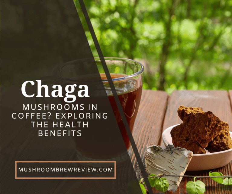 Chaga Mushrooms in Coffee? Exploring the Health Benefits